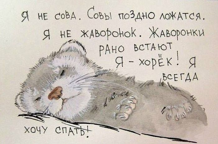 f7a32943897fabfd69087402c992de57--funny-russian-animals.jpg