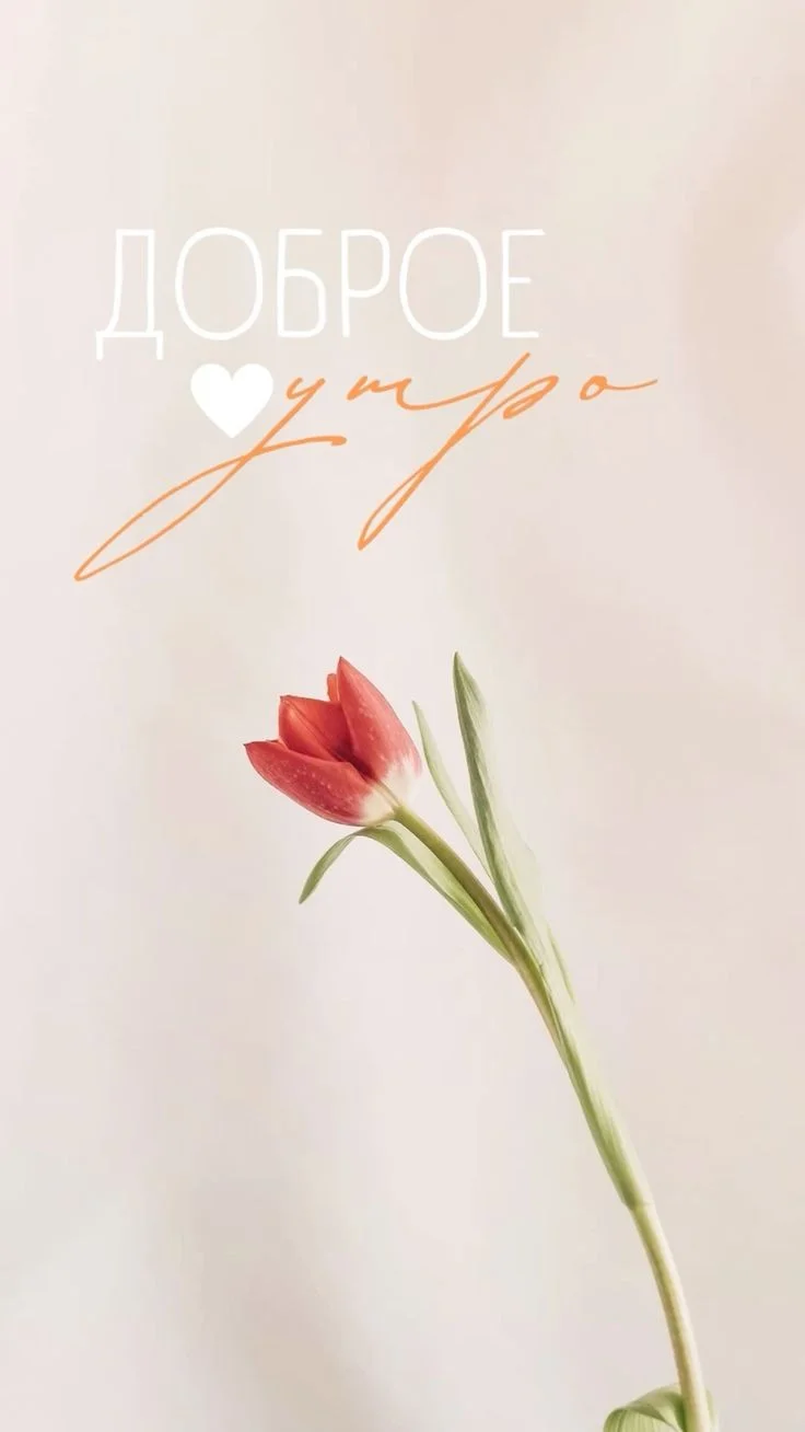 f88eddf781c72bc6b4af1032329c2162 (2).webp