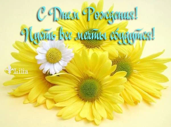 f96612ea926c.webp