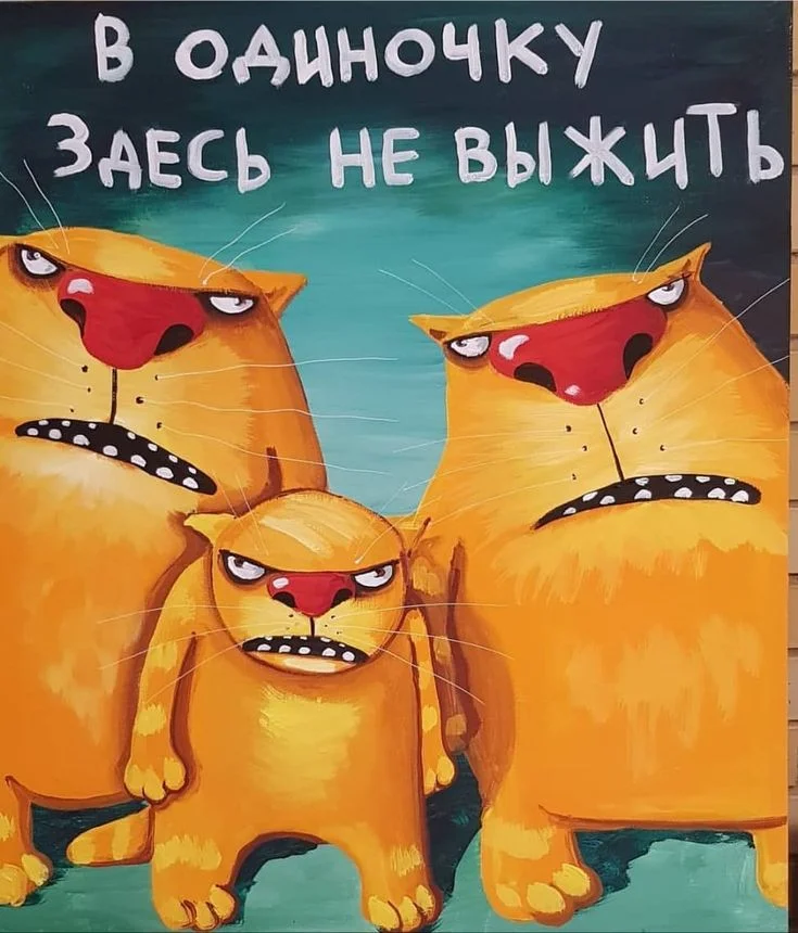f9d674a9f2a63fc2d039e2e088bdd10d.webp