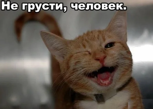 f_0747f83cfaf27ced2c2067e85c3b39829449f71b.webp