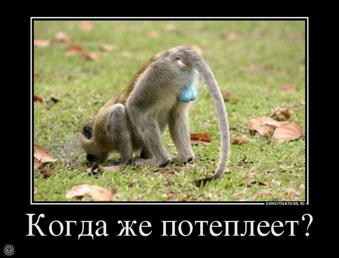 f_90352.jpg
