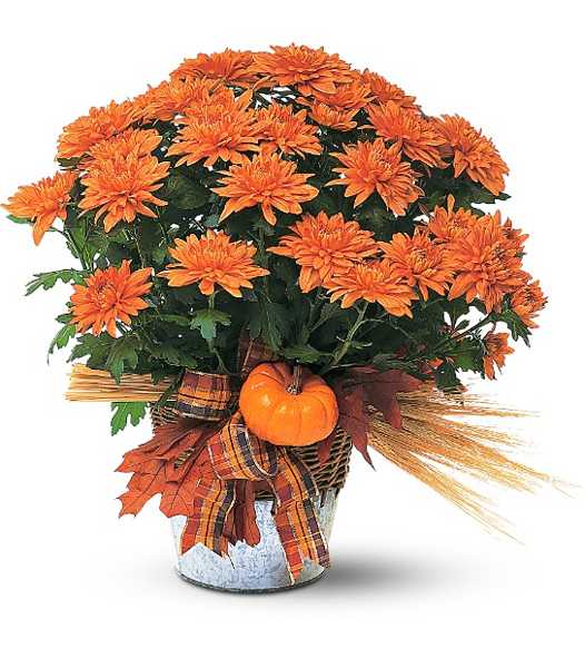 fall-flower-arrangements-table-centerpieces-2.jpg