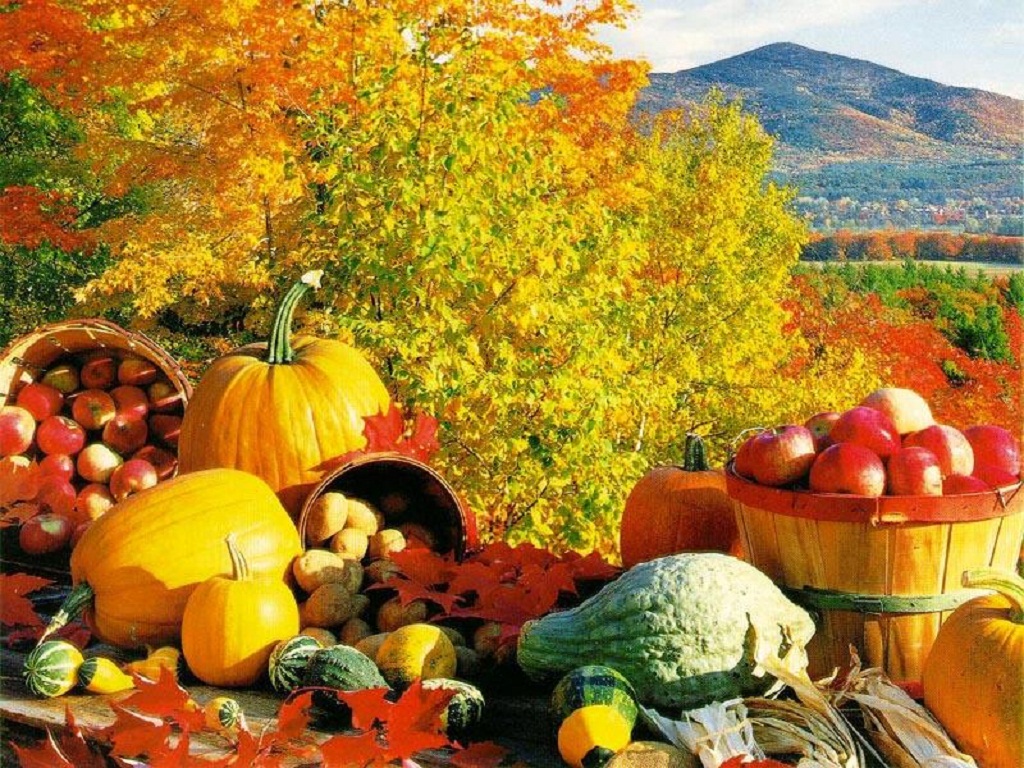 fall-harvest.jpg