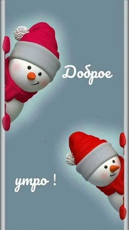 FB_IMG_1606888011866.jpg
