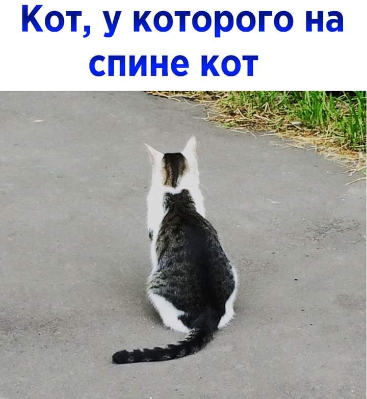 FB_IMG_1616680263179.jpg