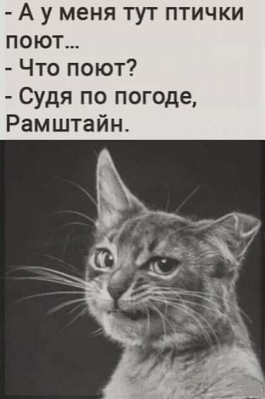 FB_IMG_1633946518805.jpg