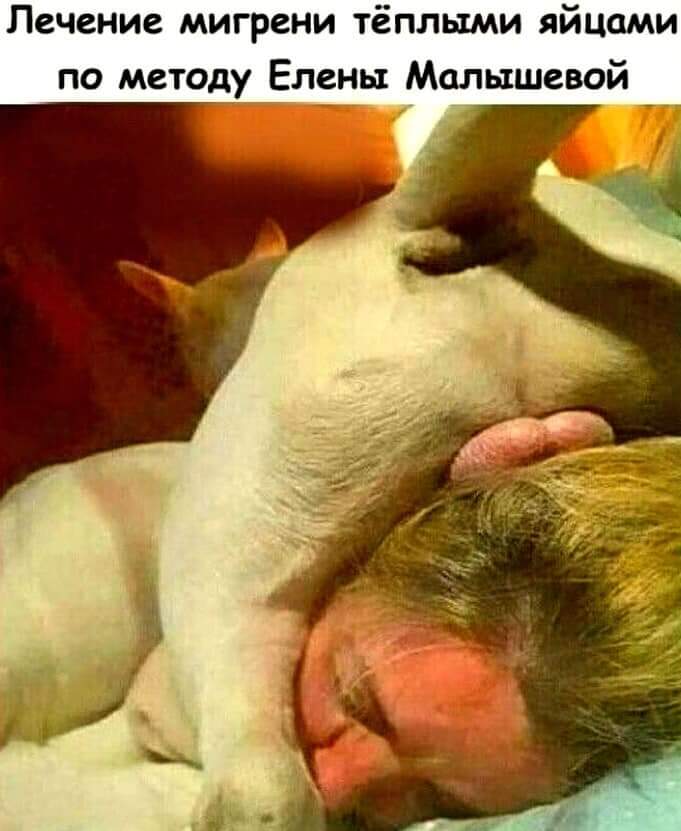 FB_IMG_1634025561478.jpg