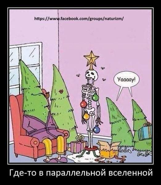 FB_IMG_1639594959669.jpg