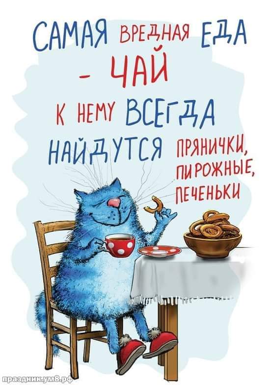 FB_IMG_1639595524426.jpg