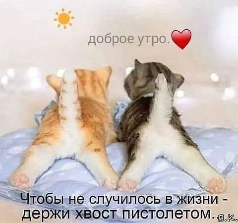 fbe59c570114212ccd61dda7d0850be6.jpg