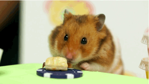 fc39d65f31e55396b8e2677cd7c09090 (1).gif