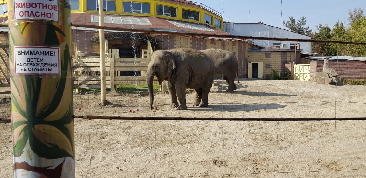 fdb50a10-7fb4-49fa-8da9-87e5100cd686 (1).webp