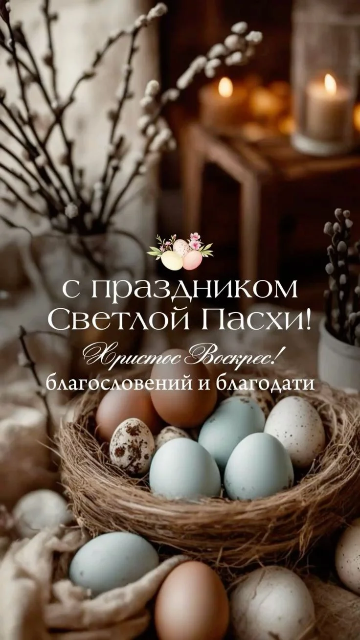 fdc439ca34a447a652d14cba1f5272c5.webp