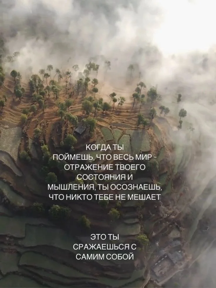 fe02662e7c24e36015dedc774857b7bb.webp