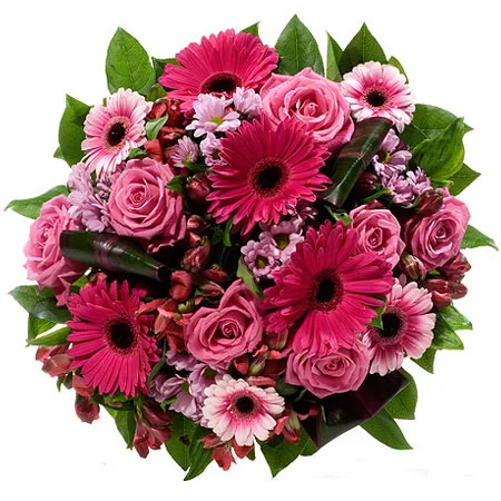 feerichnyj.webp