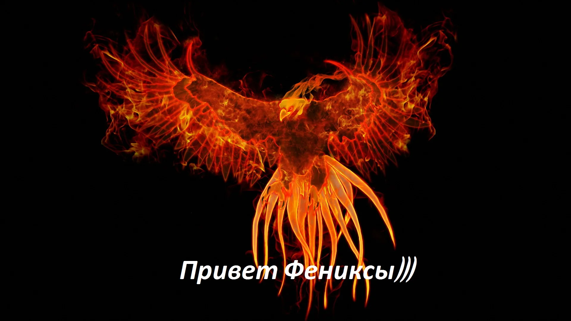фенексы1.webp