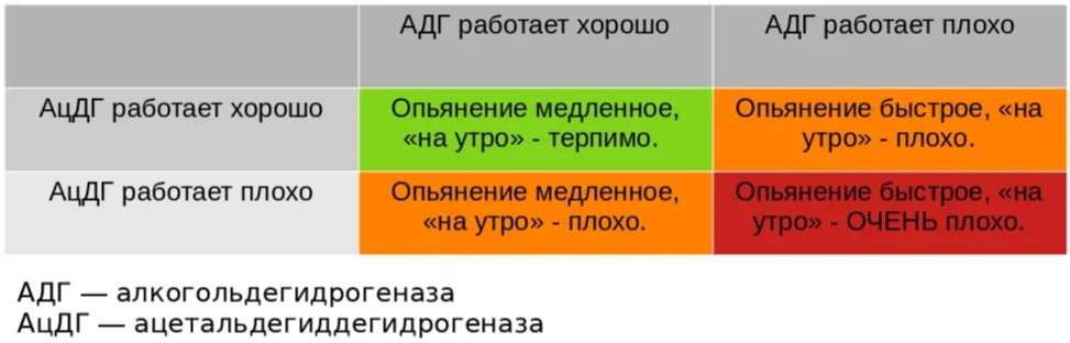 ферменты к алкоголю.png