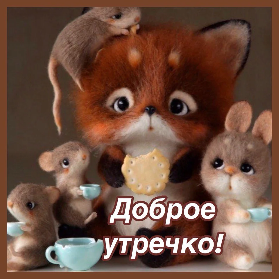 fIb9NMwjTIM.webp