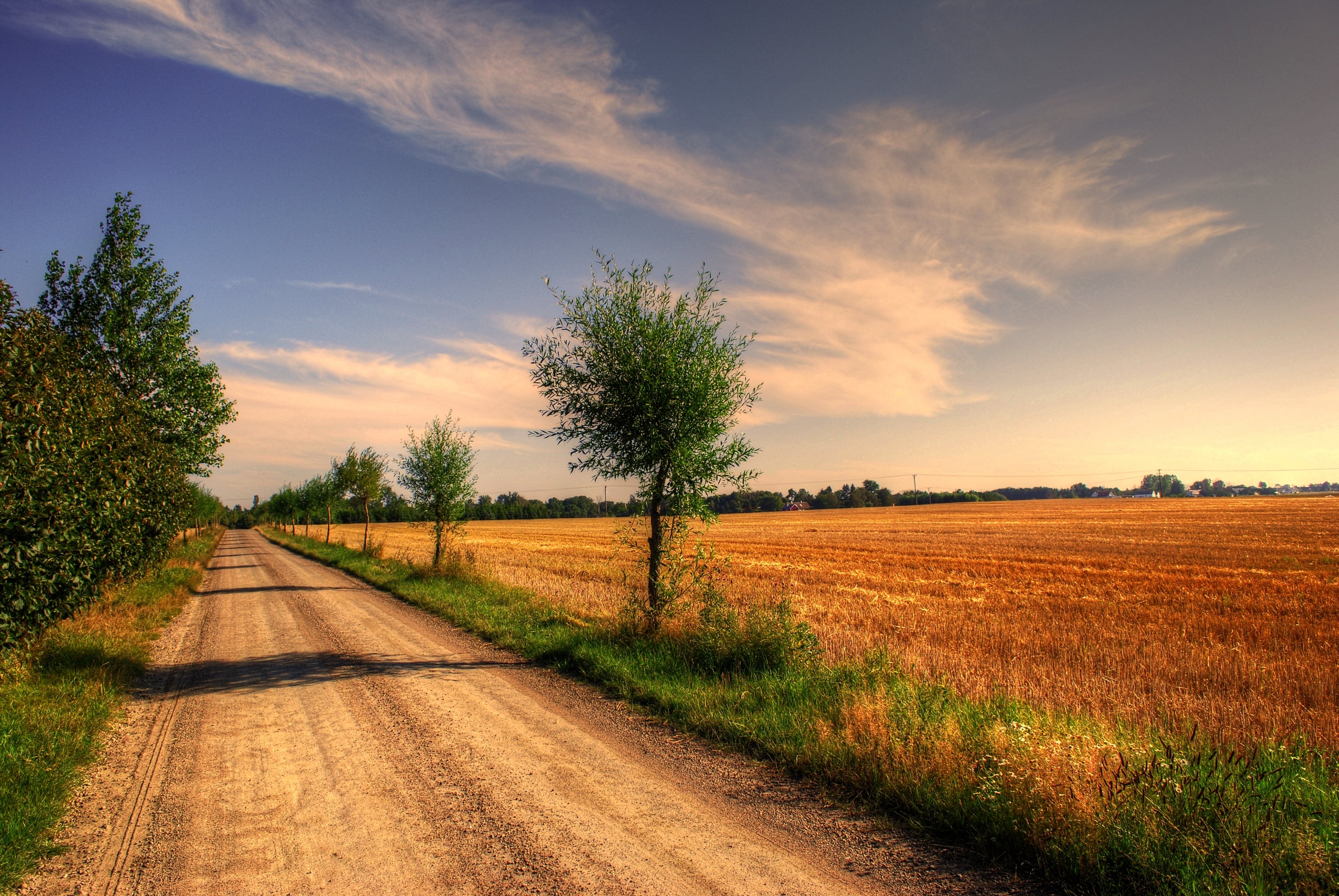 field-road-trees-landscape-1020166.jpg