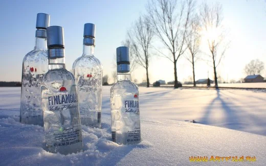 финввснег.webp