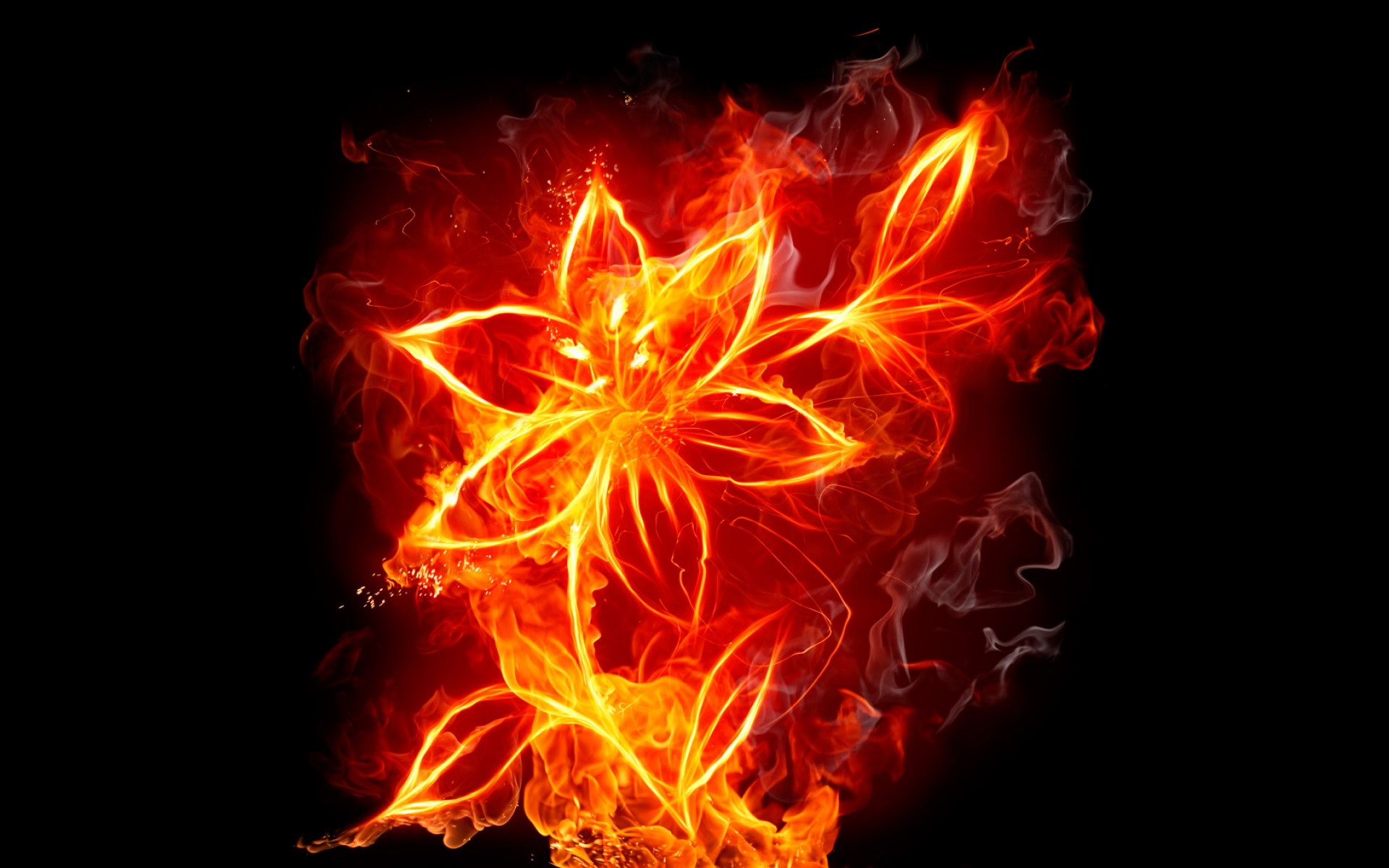 fire_flower.jpg