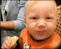 first_time_baby_lemon_tasters_02.gif