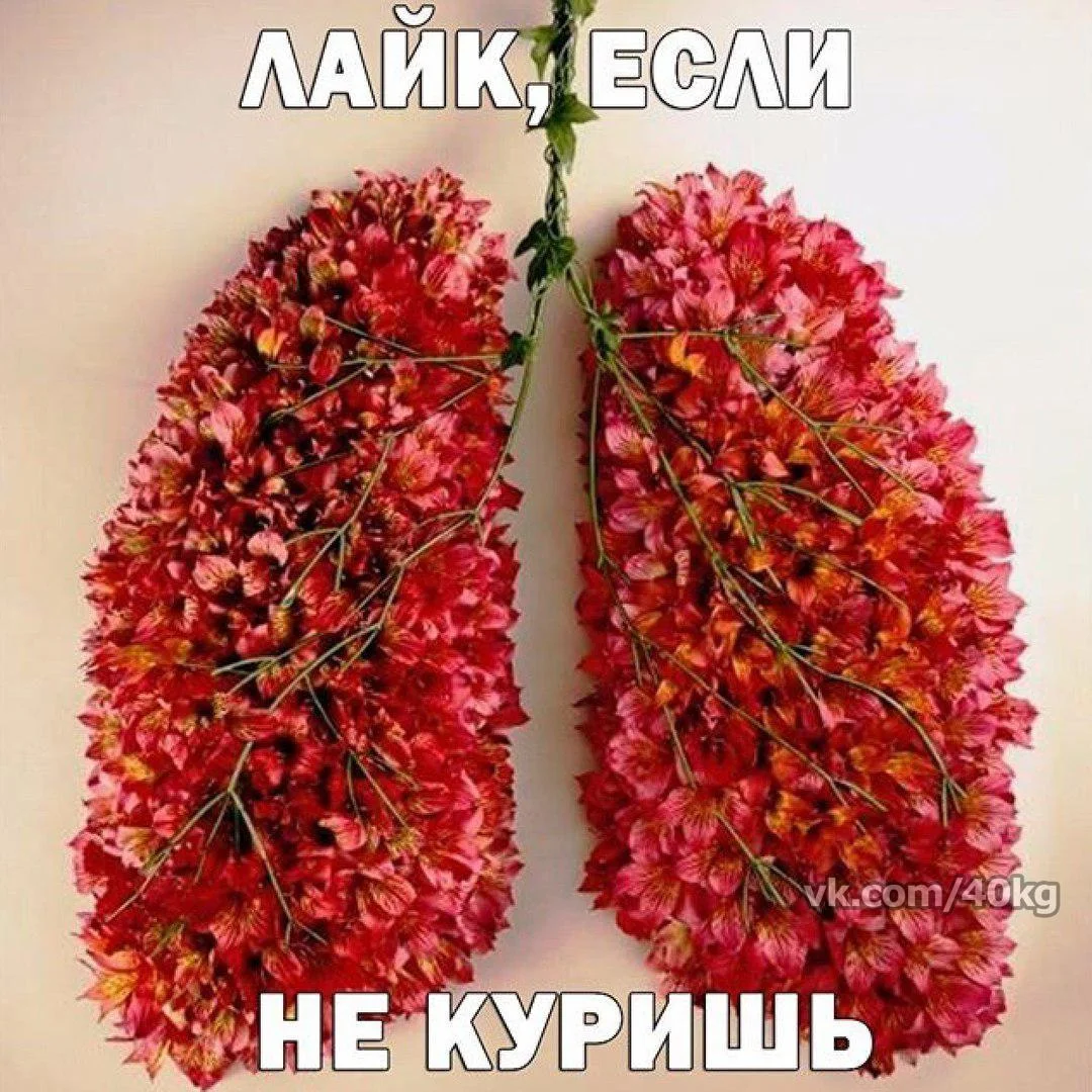 FiSevQebUmc[1].webp