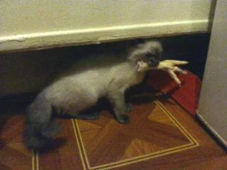 флешка 052.webp