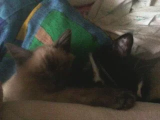 флешка 063.webp