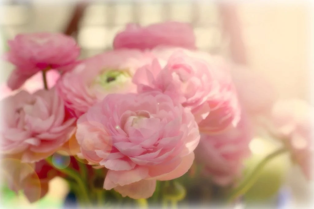 flovers_krasiv (6).webp