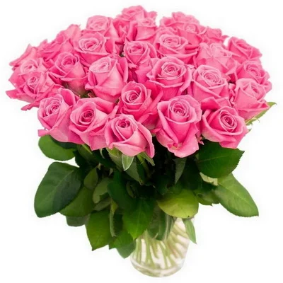 flowers 028.webp