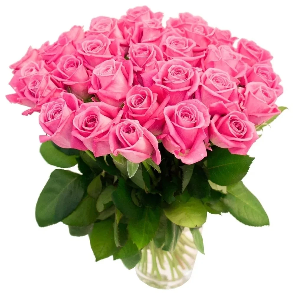 flowers 028.webp
