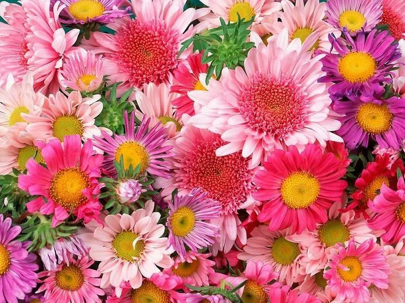 flowers-2.webp