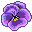 flowers (574).gif