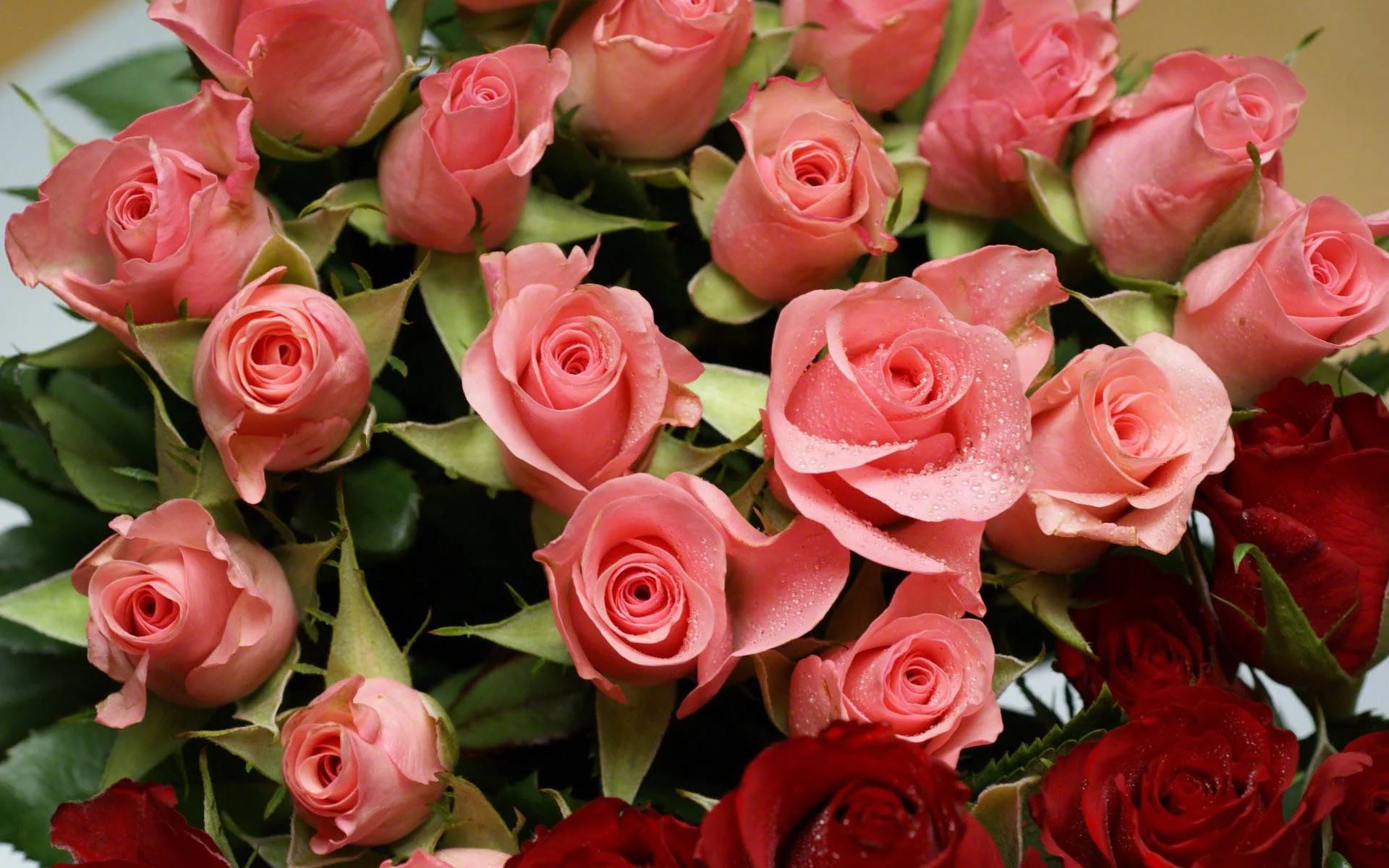 flowers-bouquet-1920x1200-wallpaper-2355646.webp