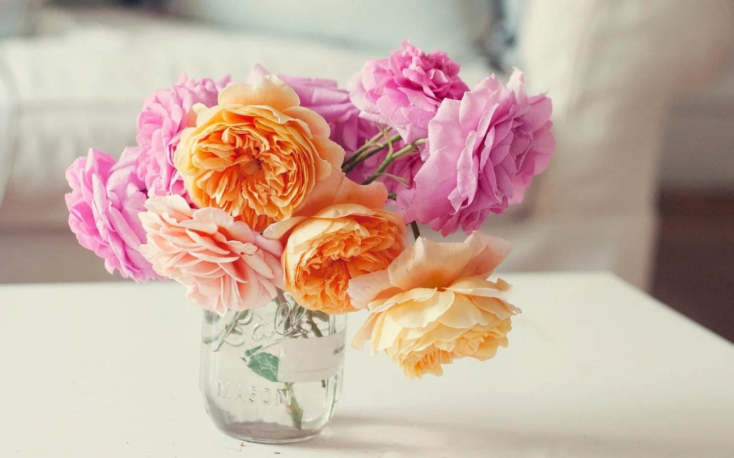 Flowers-image-flowers-36200366-1440-900.webp