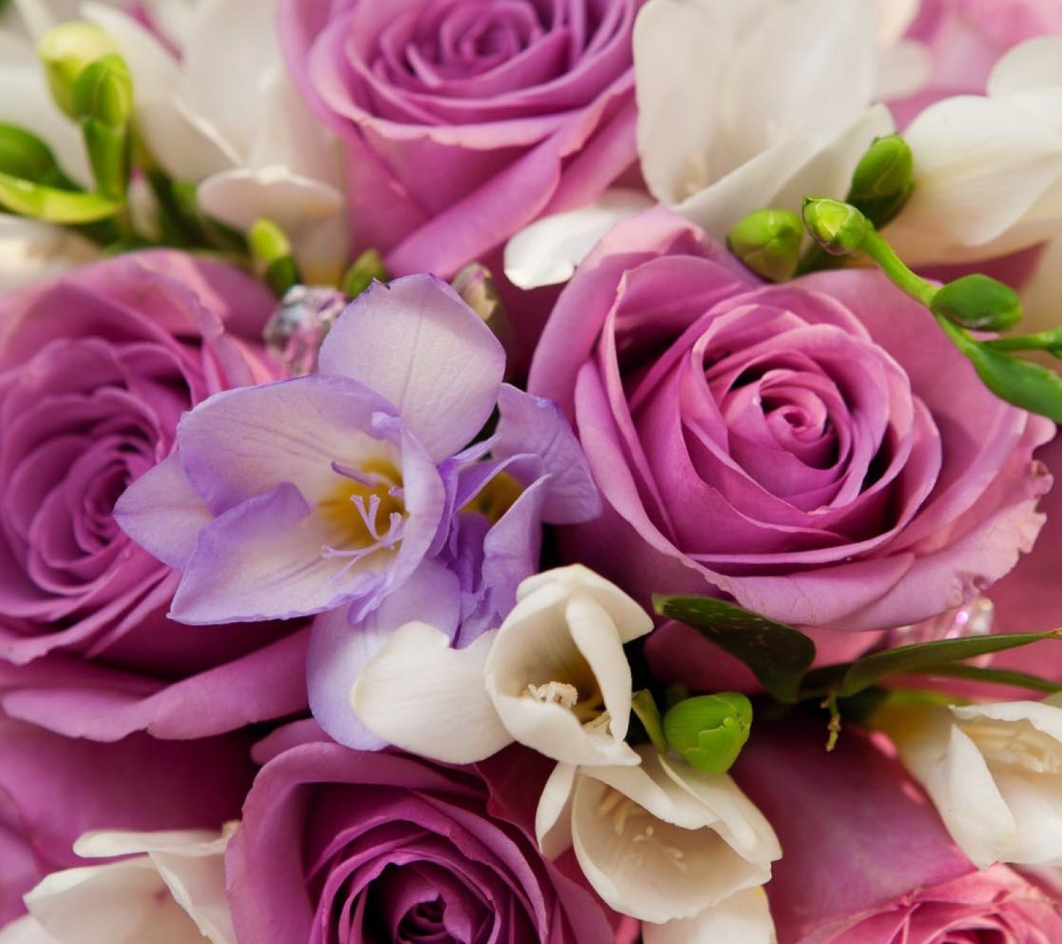 Flowers-wallpaper-9793000.jpg