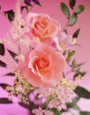flowers_01.webp