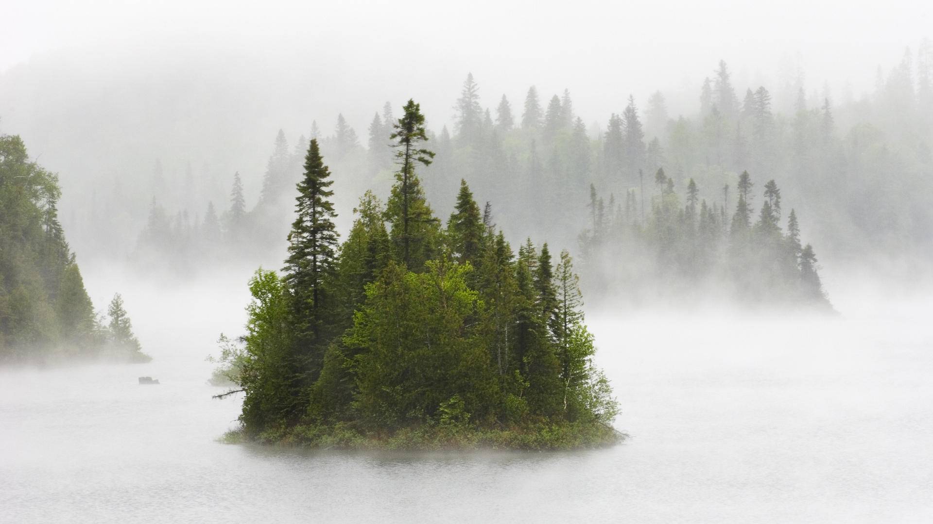 fog-on-fentol-lake-in-ontario-canada.jpg