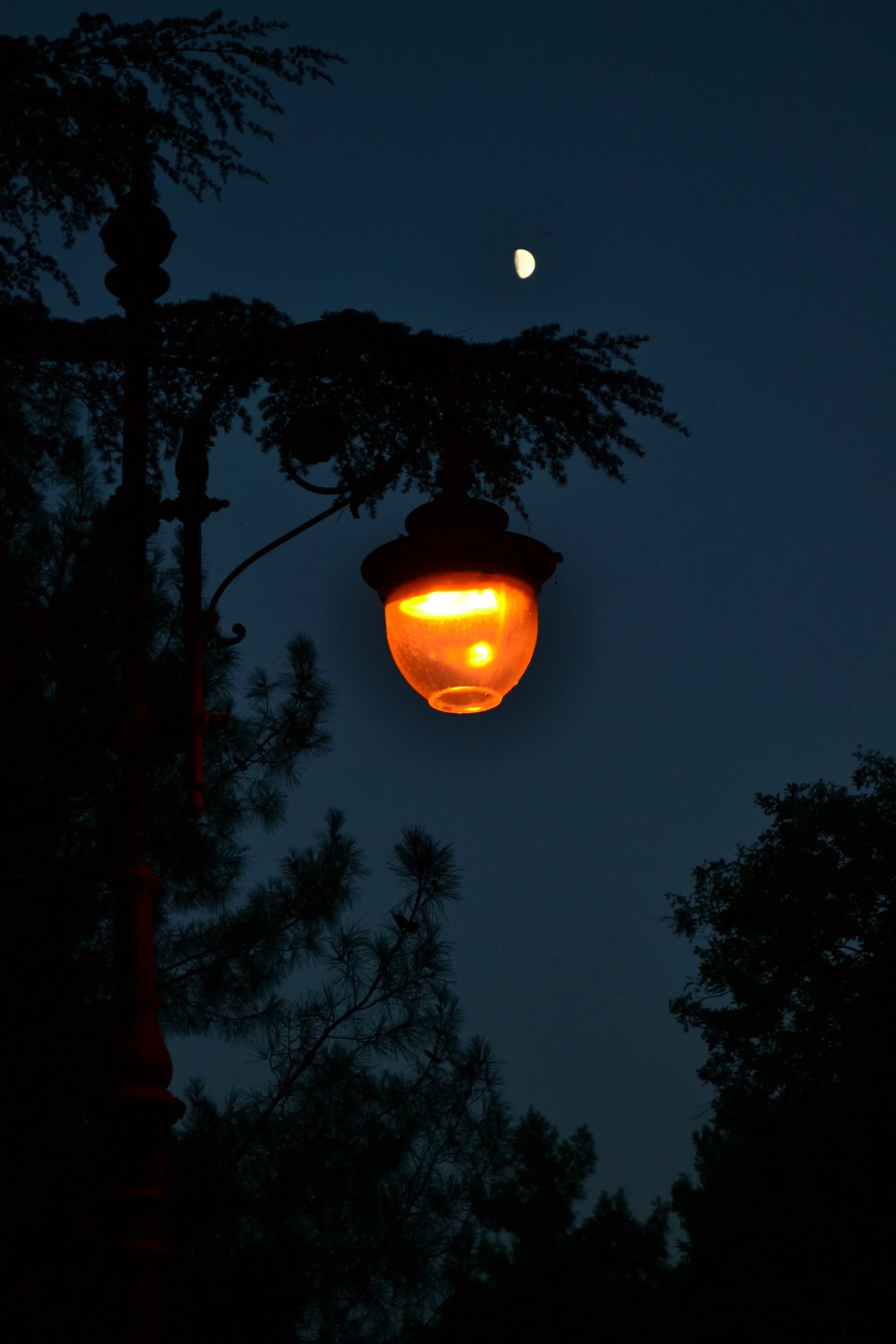 Фонарт Партенит луна.webp