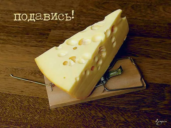food18.webp