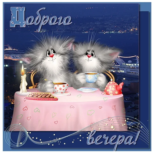 foto-17-smeshnye-kotiki-zhelayut-vam-dobrogo-vechera.webp