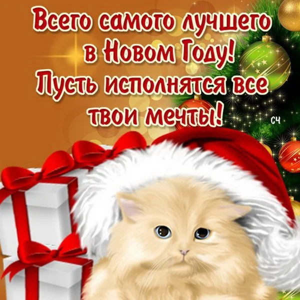 foto-2-pozdravlenie-s-novym-godom-devushke-v-proze.webp