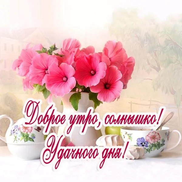 foto-20-dobroe-utro-solnyshko-udachnogo-tebe-dnya.webp