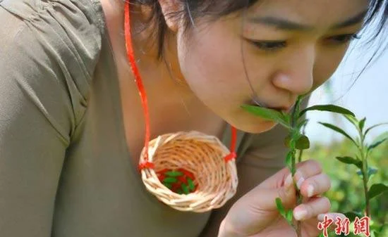 Фото для блога www.oppps.ru_859031.webp