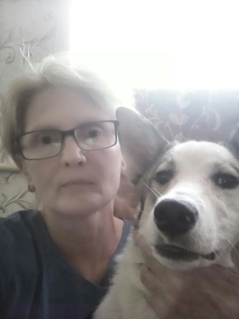 фото для форума 1.webp