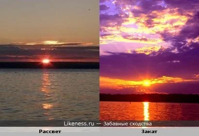 фото на конкурс 3.webp