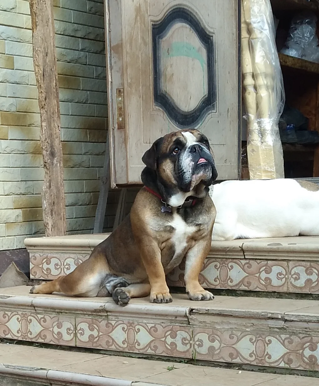 Фото от Шлемин Виктор.webp