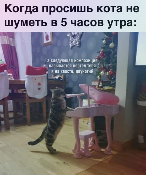 foto-prikoly-za-13-01-2020-humoraf-ru-11.jpg